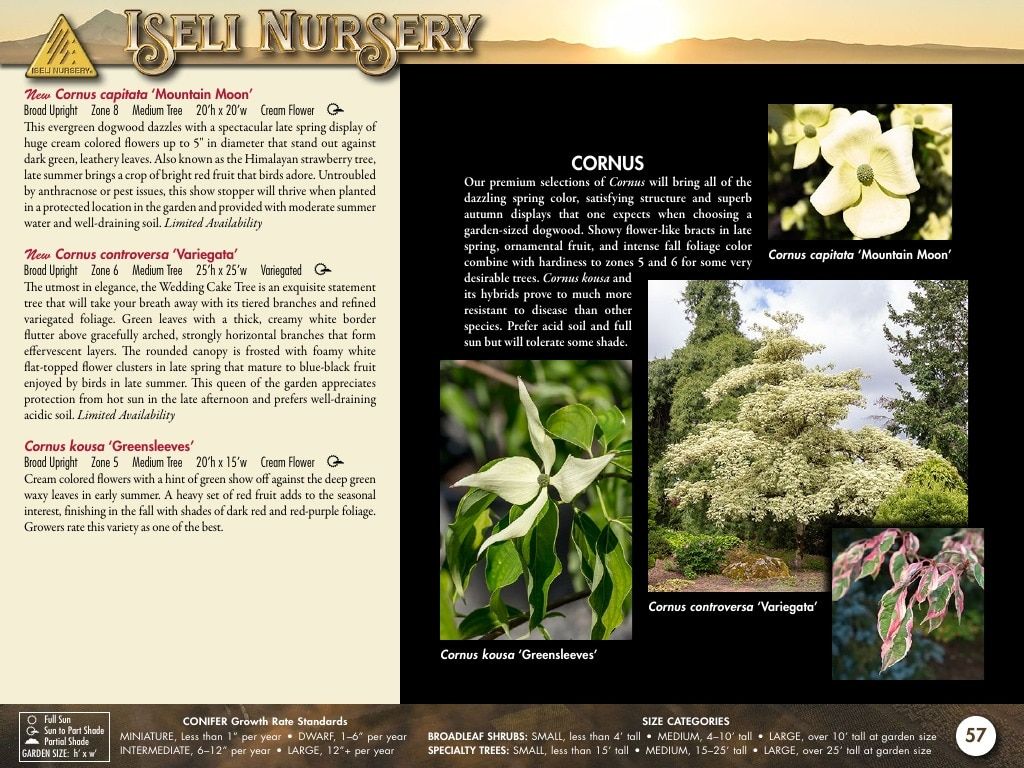Iseli Nursery Wholesale Nursery Catalog Weekly Ad January 1, 2026 - December 31, 2027