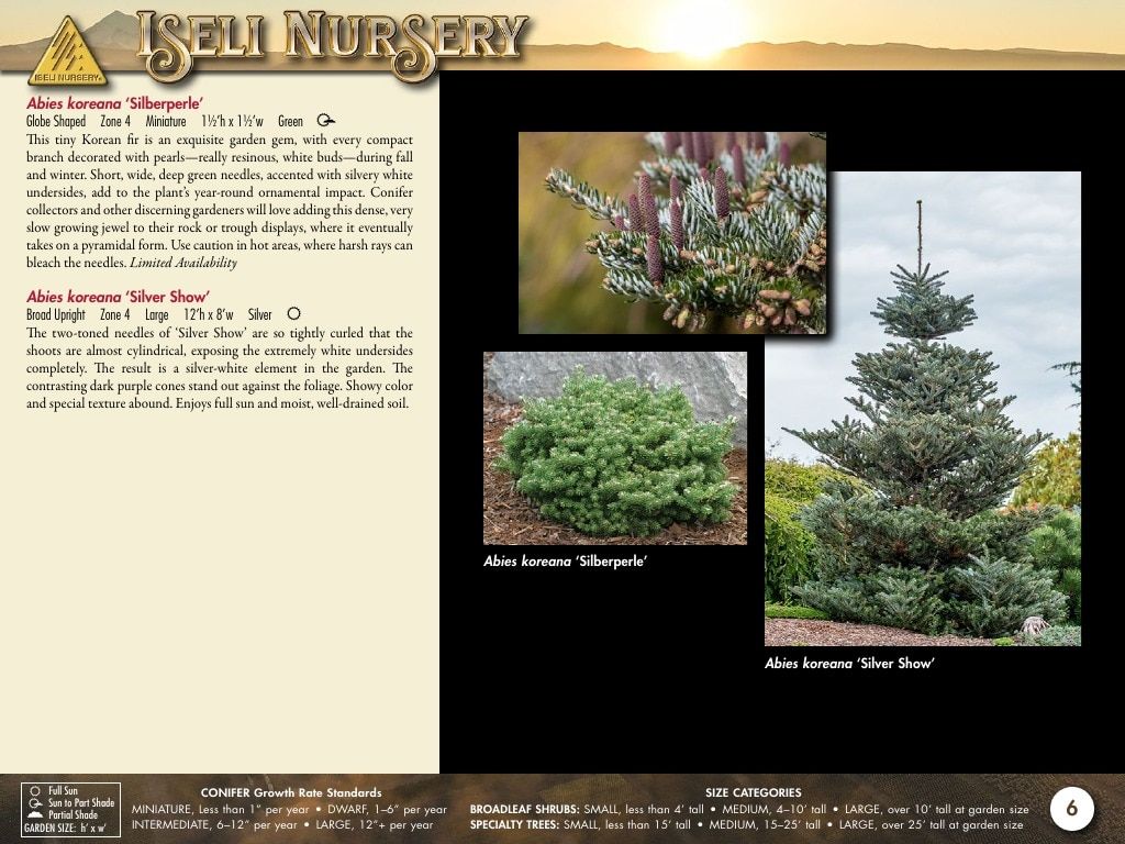 Iseli Nursery Wholesale Nursery Catalog Weekly Ad January 1, 2026 - December 31, 2027