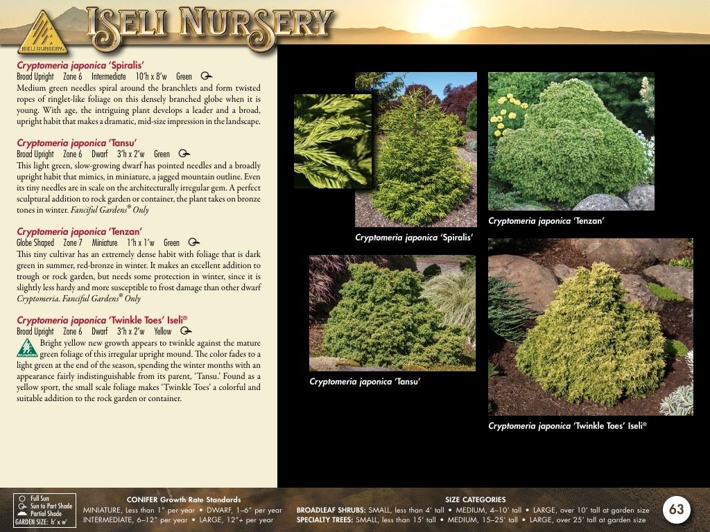Iseli Nursery Wholesale Nursery Catalog Weekly Ad January 1, 2026 - December 31, 2027