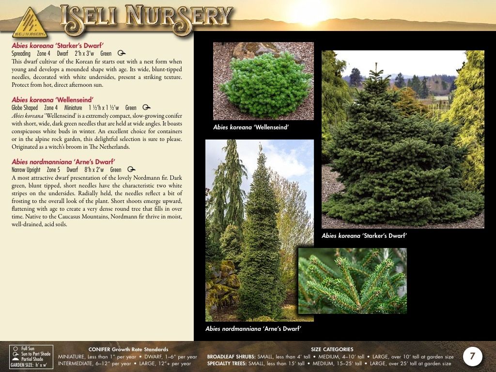 Iseli Nursery Wholesale Nursery Catalog Weekly Ad January 1, 2026 - December 31, 2027