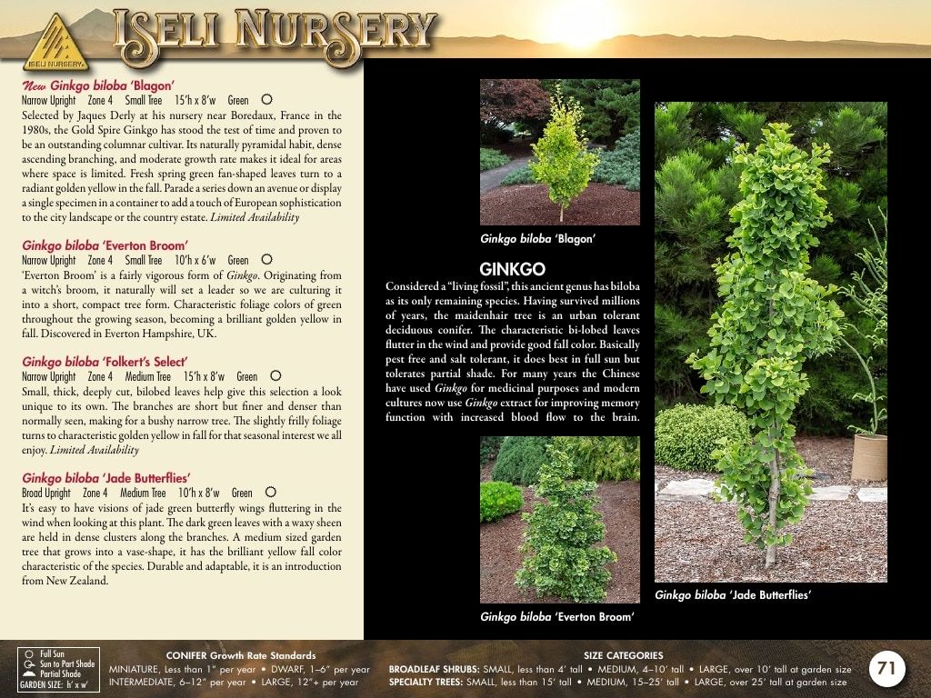Iseli Nursery Wholesale Nursery Catalog Weekly Ad January 1, 2026 - December 31, 2027