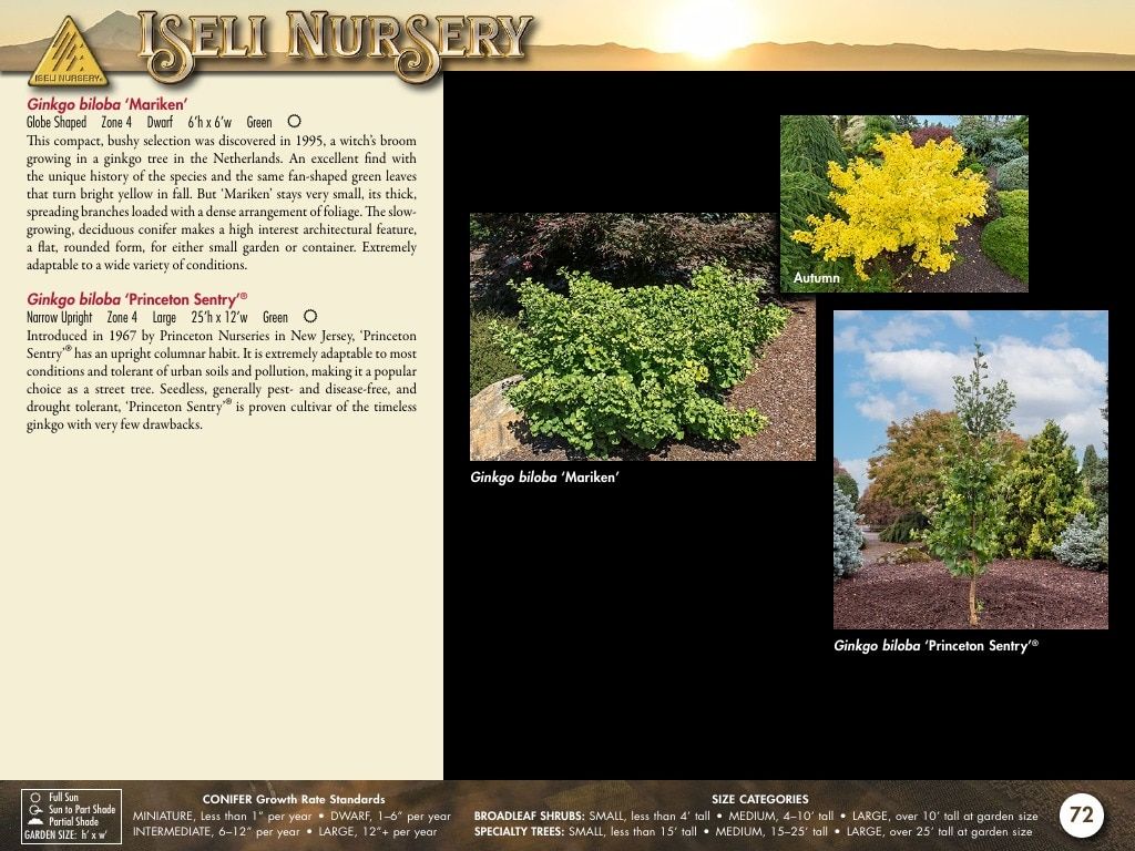 Iseli Nursery Wholesale Nursery Catalog Weekly Ad January 1, 2026 - December 31, 2027