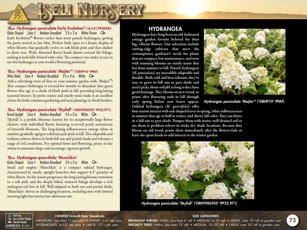Iseli Nursery Wholesale Nursery Catalog Weekly Ad January 1, 2026 - December 31, 2027