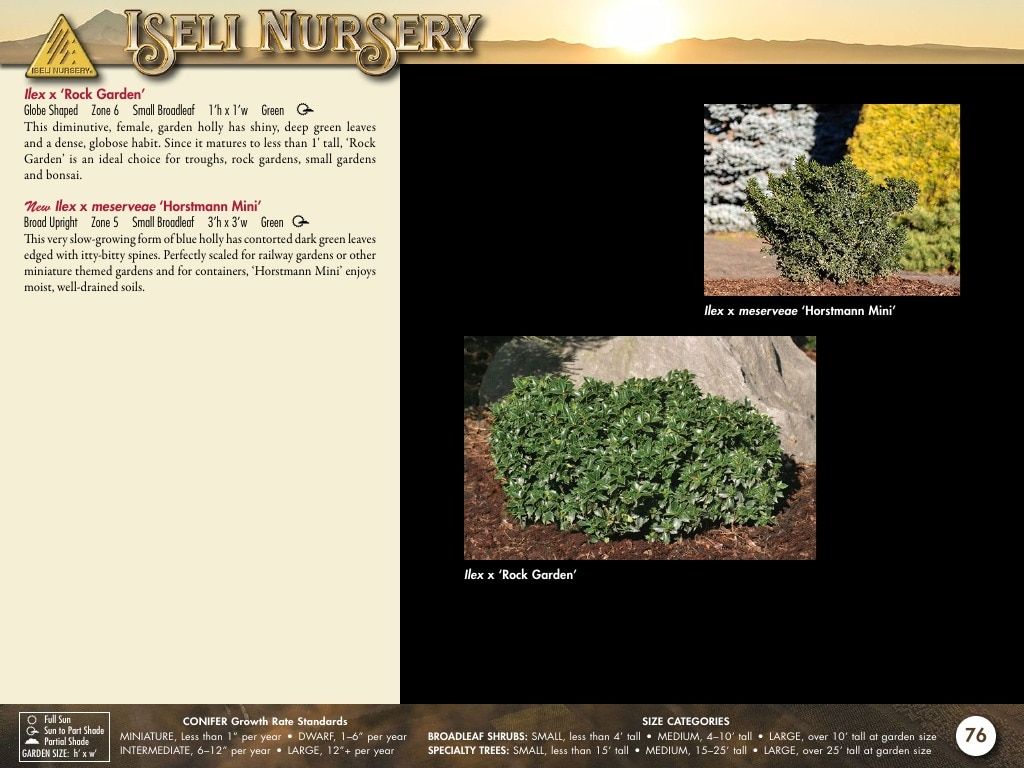 Iseli Nursery Wholesale Nursery Catalog Weekly Ad January 1, 2026 - December 31, 2027