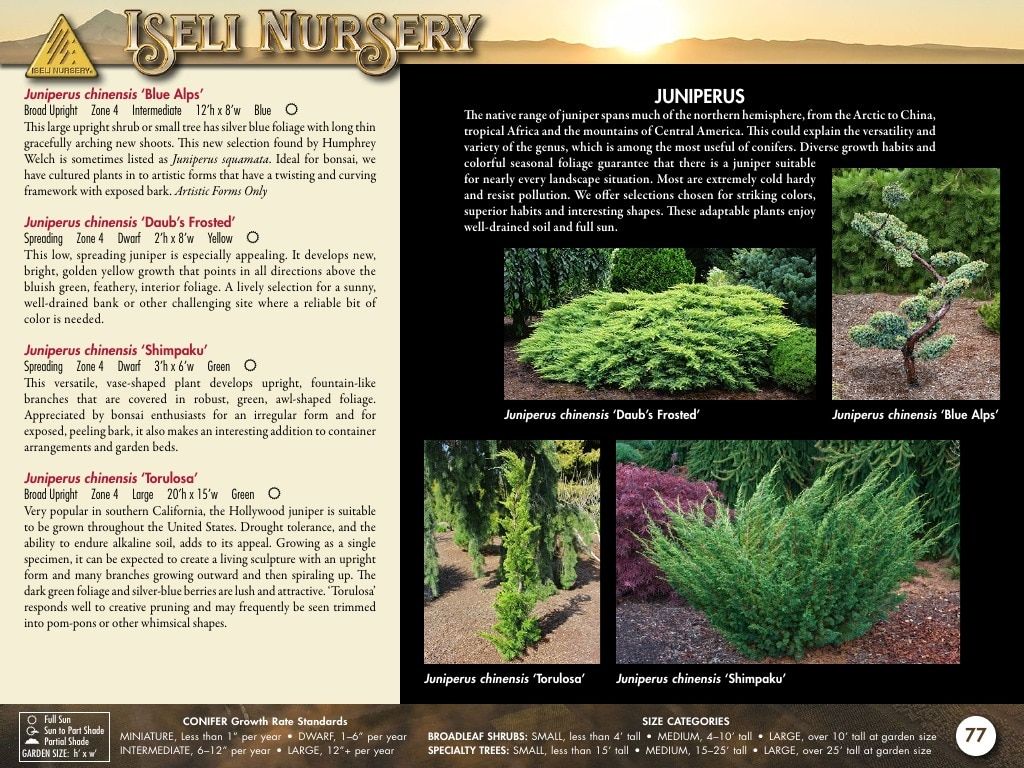 Iseli Nursery Wholesale Nursery Catalog Weekly Ad January 1, 2026 - December 31, 2027