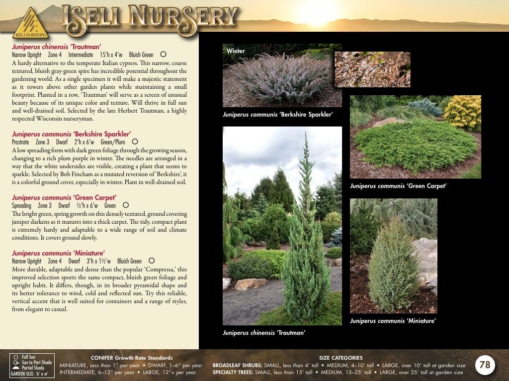 Iseli Nursery Wholesale Nursery Catalog Weekly Ad January 1, 2026 - December 31, 2027