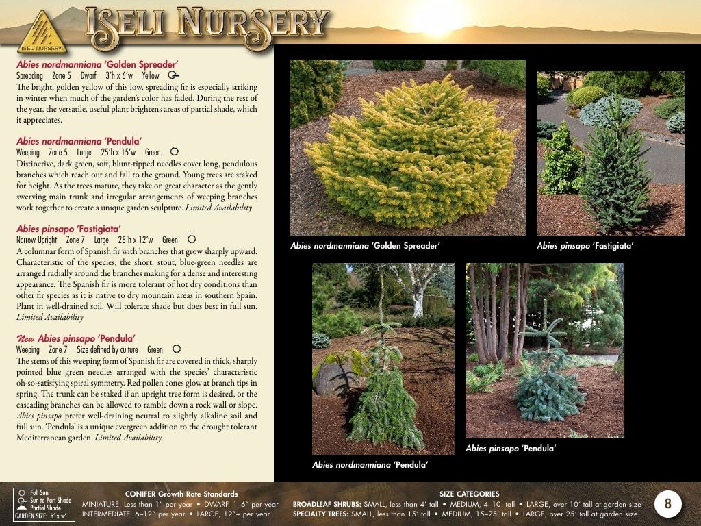 Iseli Nursery Wholesale Nursery Catalog Weekly Ad January 1, 2026 - December 31, 2027
