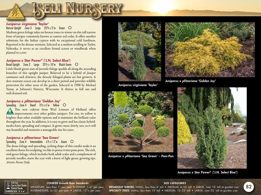 Iseli Nursery Wholesale Nursery Catalog Weekly Ad January 1, 2026 - December 31, 2027