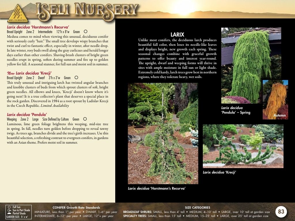 Iseli Nursery Wholesale Nursery Catalog Weekly Ad January 1, 2026 - December 31, 2027