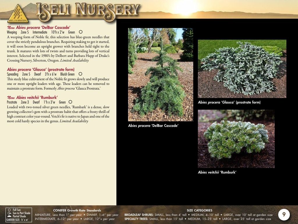 Iseli Nursery Wholesale Nursery Catalog Weekly Ad January 1, 2026 - December 31, 2027