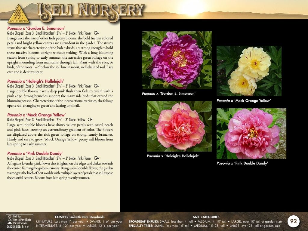Iseli Nursery Wholesale Nursery Catalog Weekly Ad January 1, 2026 - December 31, 2027