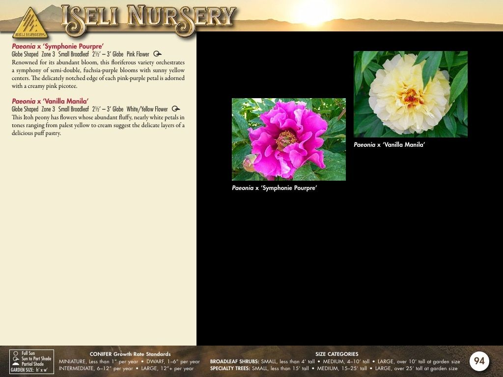 Iseli Nursery Wholesale Nursery Catalog Weekly Ad January 1, 2026 - December 31, 2027