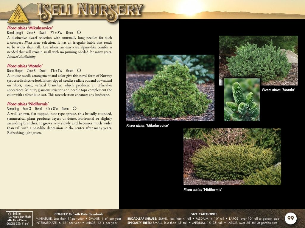 Iseli Nursery Wholesale Nursery Catalog Weekly Ad January 1, 2026 - December 31, 2027