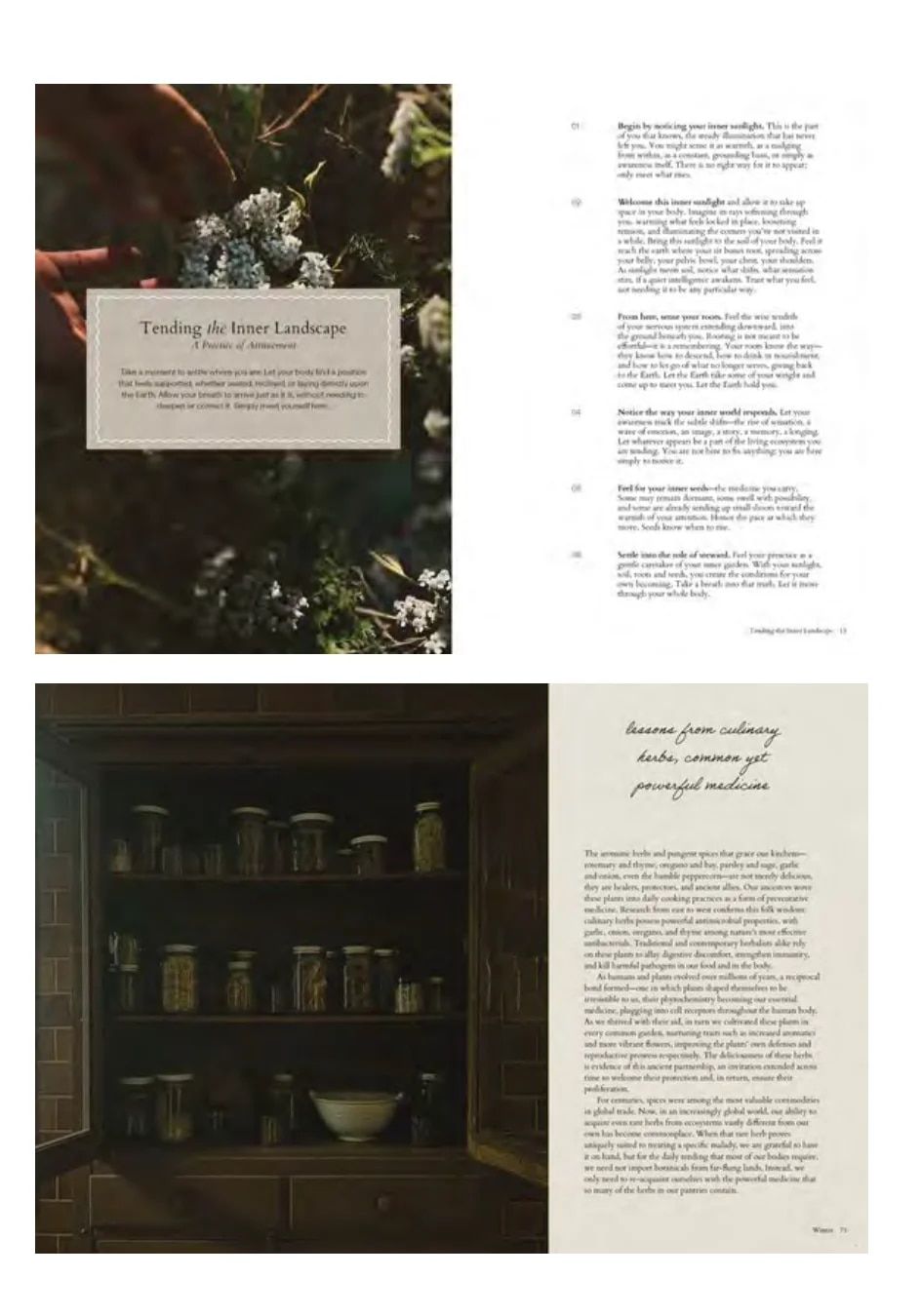 Hardie Grant Publishing Fall Book Catalog Weekly Ad January 1 - December 31, 2026