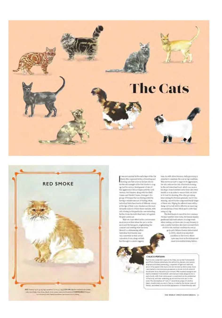 Hardie Grant Publishing Fall Book Catalog Weekly Ad January 1 - December 31, 2026