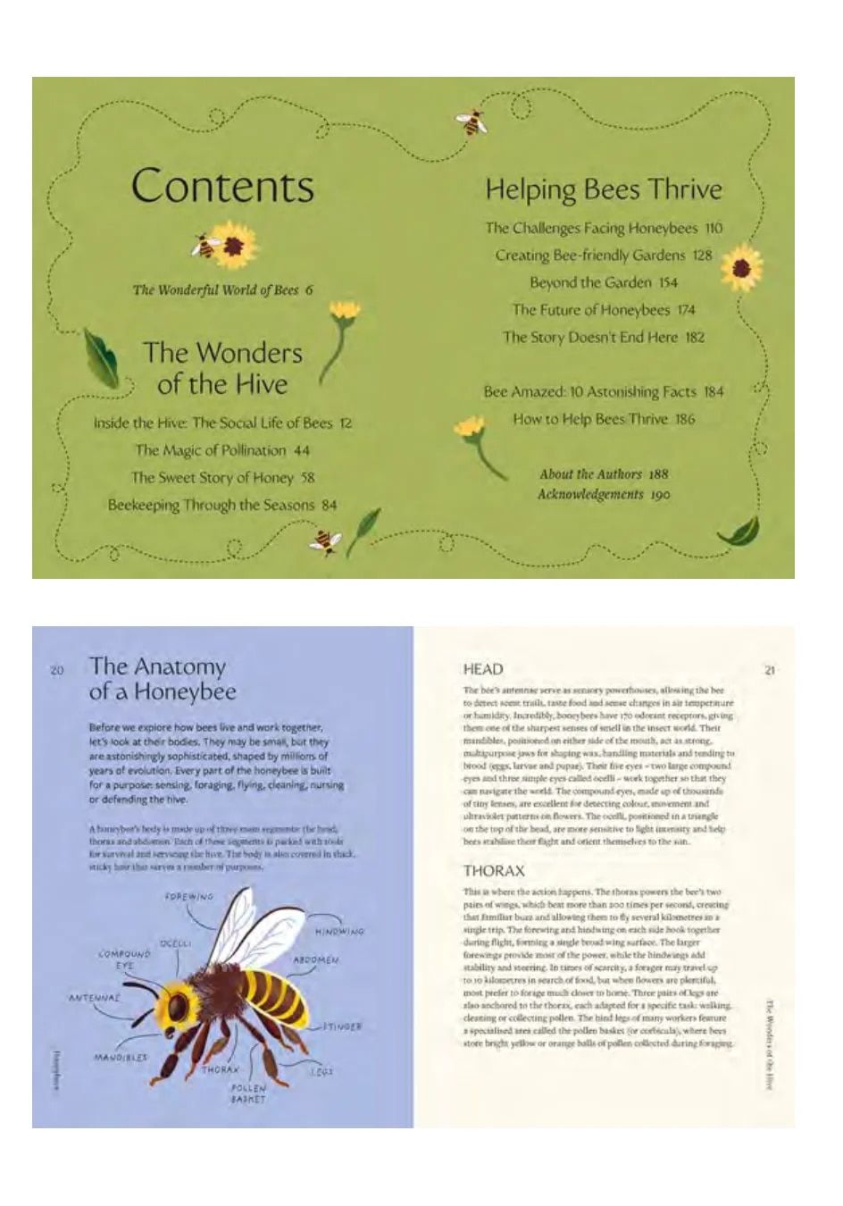 Hardie Grant Publishing Fall Book Catalog Weekly Ad January 1 - December 31, 2026