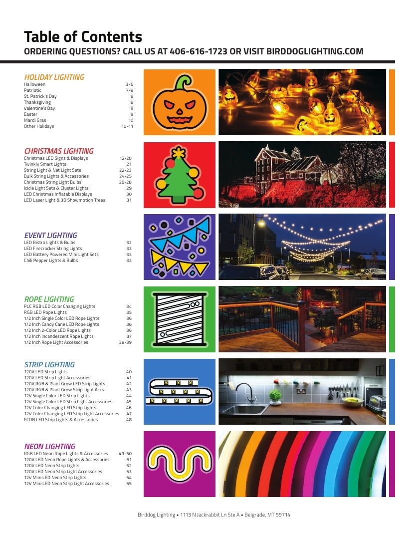Birddog Lighting Lighting Catalog Weekly Ad January 1 - December 31, 2026