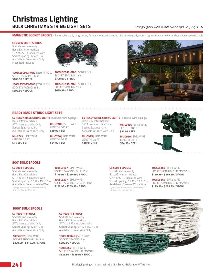 Birddog Lighting Lighting Catalog Weekly Ad January 1 - December 31, 2026