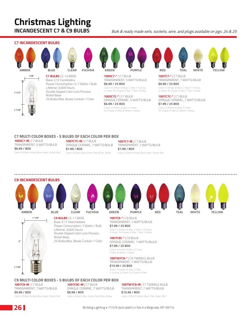 Birddog Lighting Lighting Catalog Weekly Ad January 1 - December 31, 2026