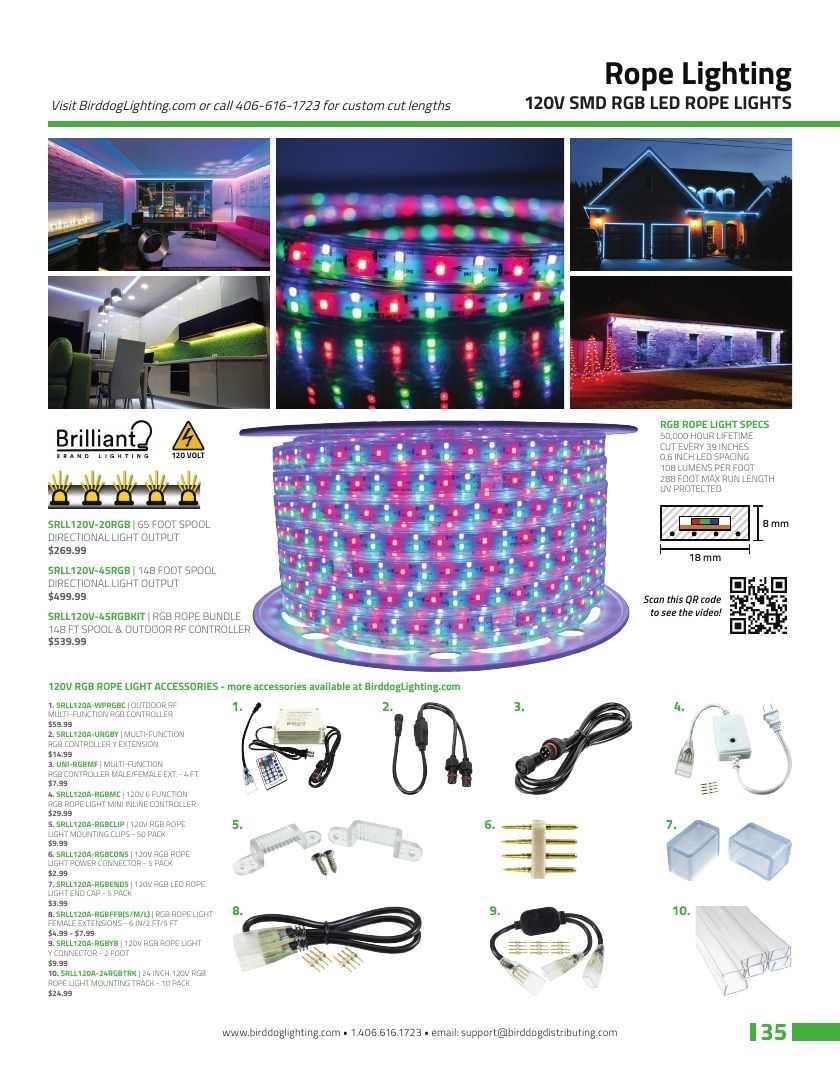 Birddog Lighting Lighting Catalog Weekly Ad January 1 - December 31, 2026
