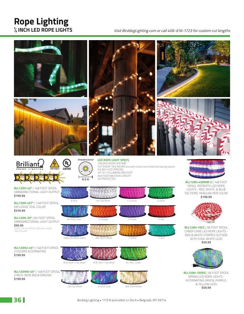 Birddog Lighting Lighting Catalog Weekly Ad January 1 - December 31, 2026