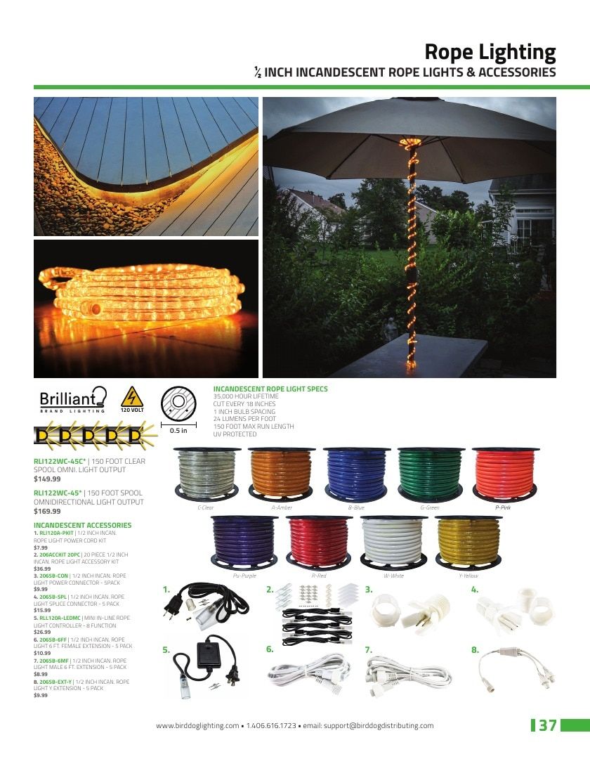Birddog Lighting Lighting Catalog Weekly Ad January 1 - December 31, 2026