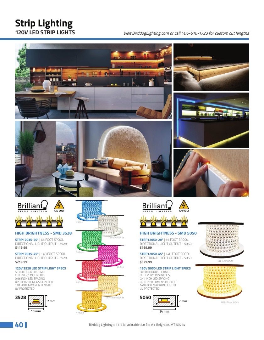 Birddog Lighting Lighting Catalog Weekly Ad January 1 - December 31, 2026