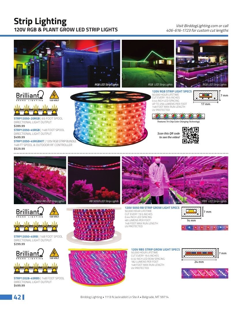 Birddog Lighting Lighting Catalog Weekly Ad January 1 - December 31, 2026