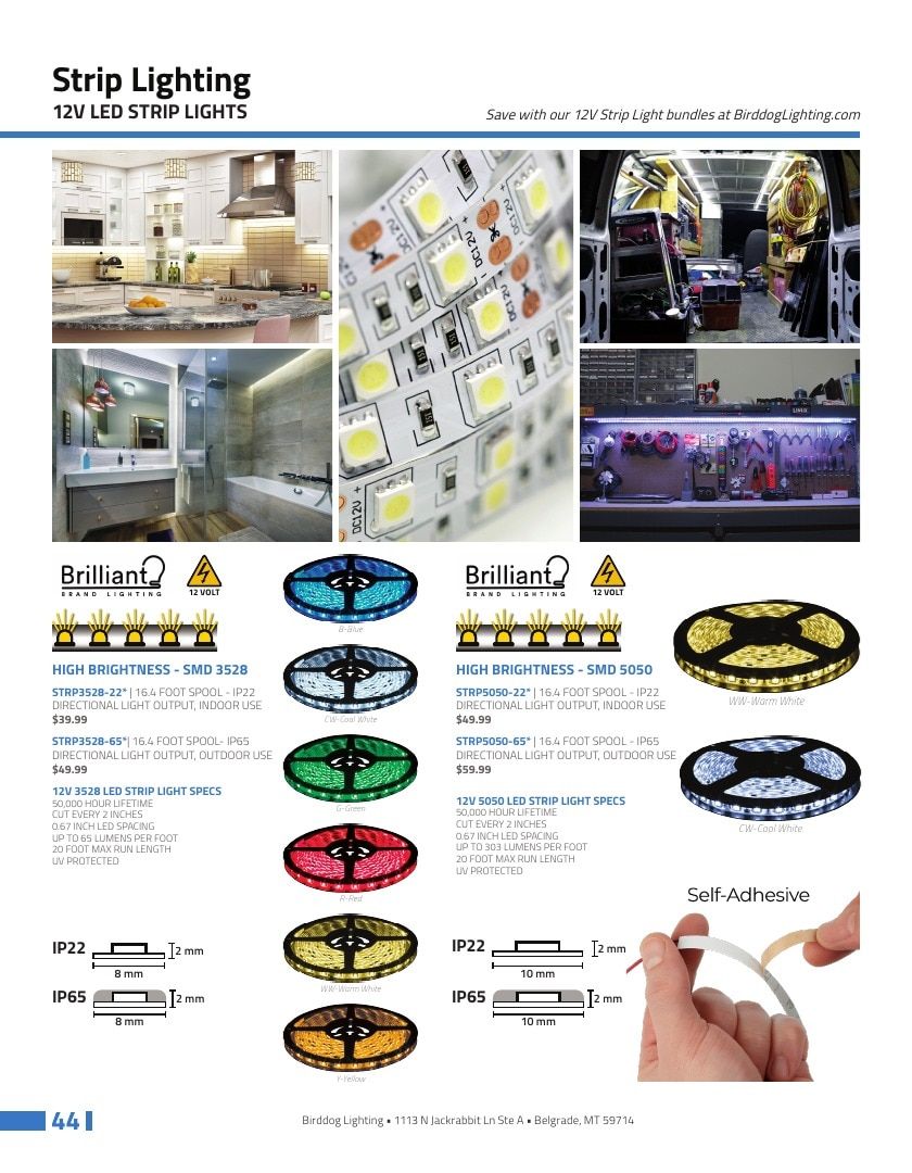 Birddog Lighting Lighting Catalog Weekly Ad January 1 - December 31, 2026