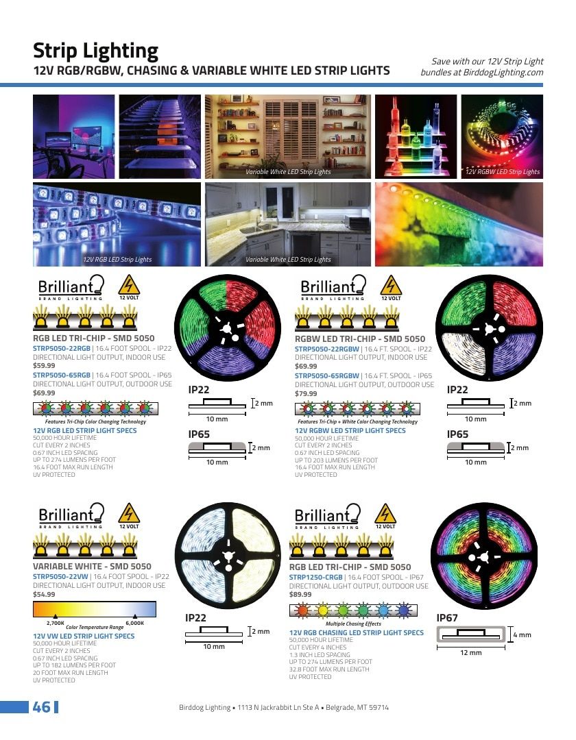 Birddog Lighting Lighting Catalog Weekly Ad January 1 - December 31, 2026