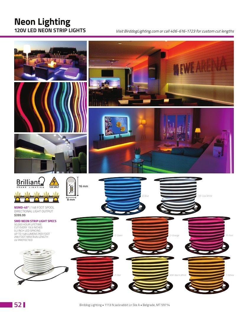 Birddog Lighting Lighting Catalog Weekly Ad January 1 - December 31, 2026