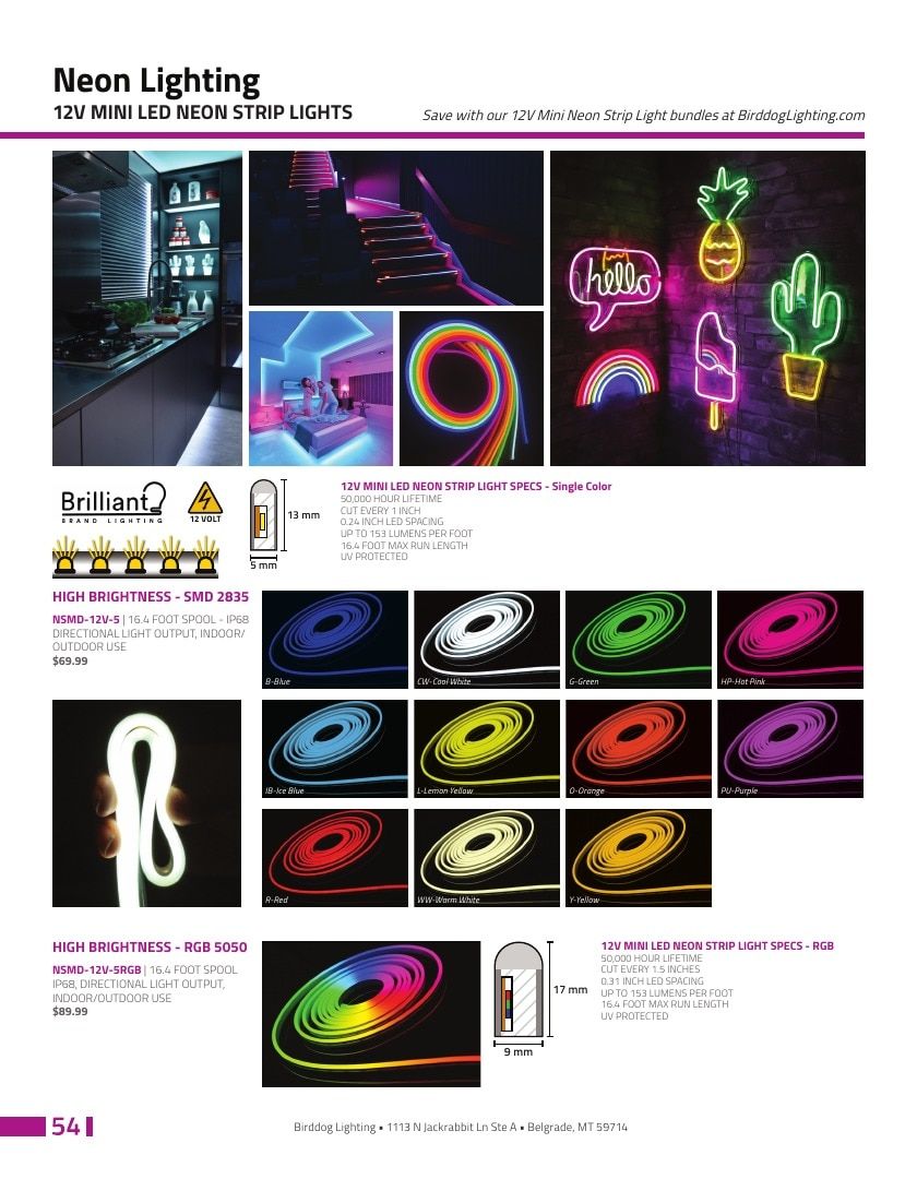 Birddog Lighting Lighting Catalog Weekly Ad January 1 - December 31, 2026