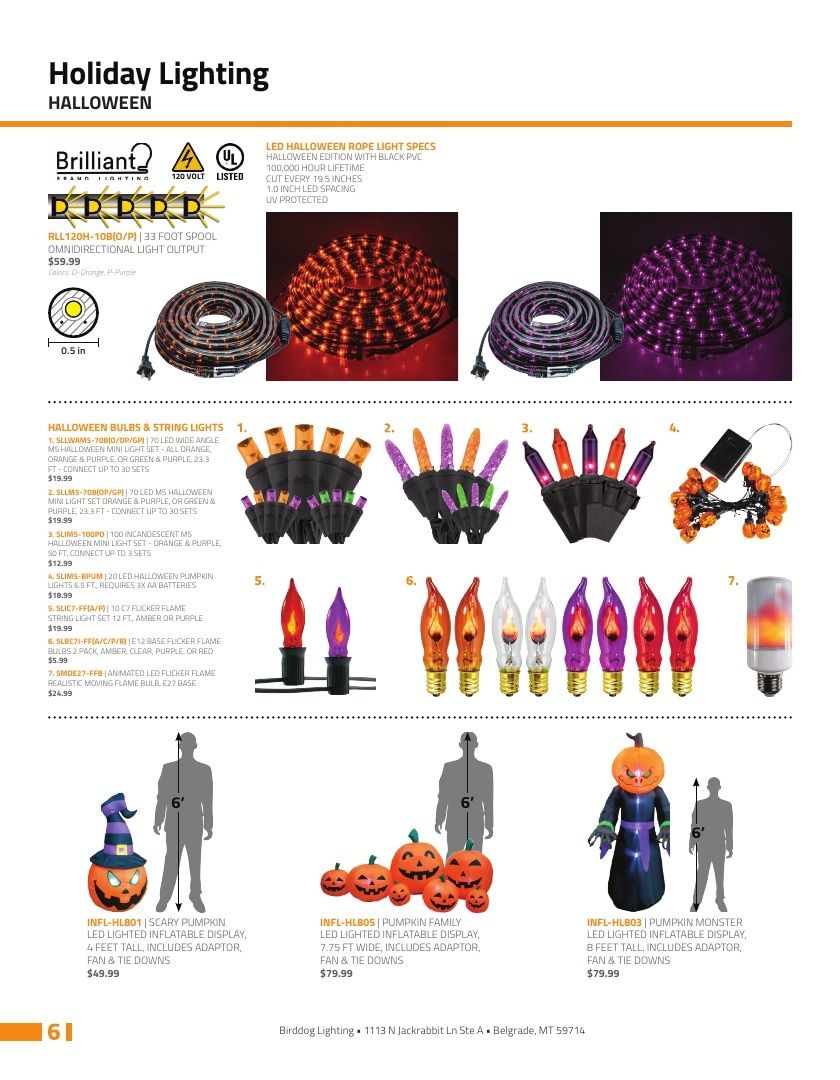 Birddog Lighting Lighting Catalog Weekly Ad January 1 - December 31, 2026