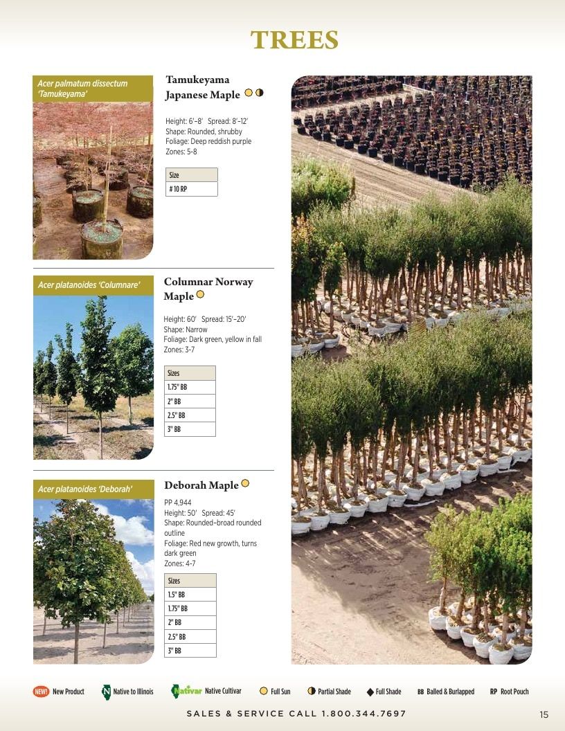 Kankakee Nursery Wholesale Nursery Catalog Weekly Ad January 1 - December 31, 2026