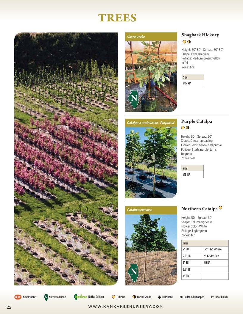 Kankakee Nursery Wholesale Nursery Catalog Weekly Ad January 1 - December 31, 2026