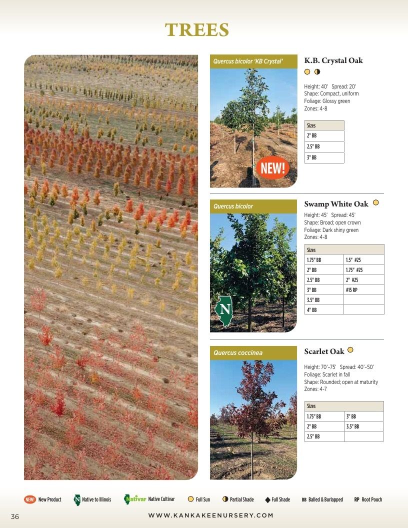 Kankakee Nursery Wholesale Nursery Catalog Weekly Ad January 1 - December 31, 2026