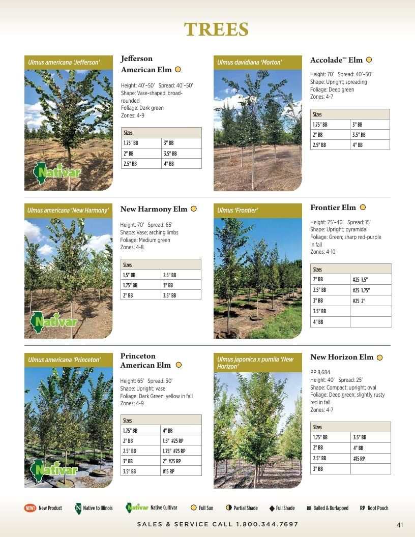 Kankakee Nursery Wholesale Nursery Catalog Weekly Ad January 1 - December 31, 2026