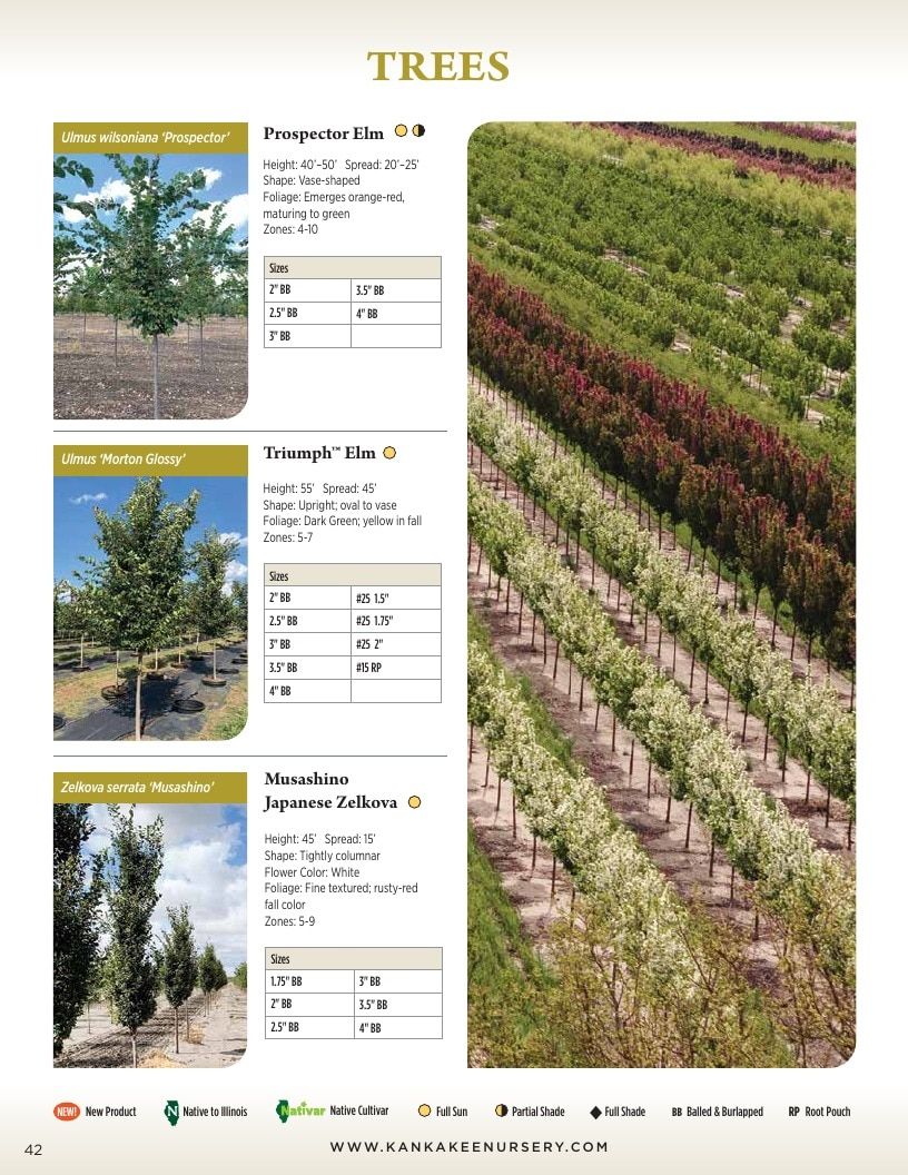 Kankakee Nursery Wholesale Nursery Catalog Weekly Ad January 1 - December 31, 2026