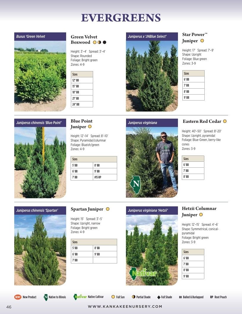 Kankakee Nursery Wholesale Nursery Catalog Weekly Ad January 1 - December 31, 2026