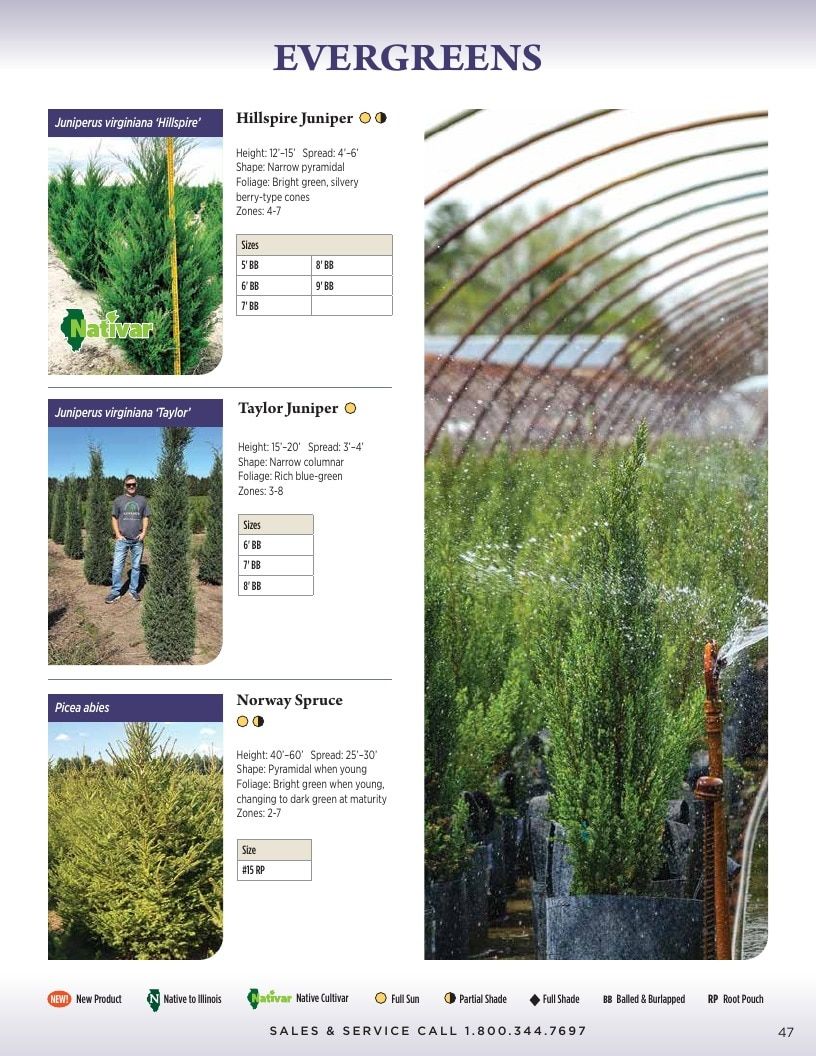 Kankakee Nursery Wholesale Nursery Catalog Weekly Ad January 1 - December 31, 2026