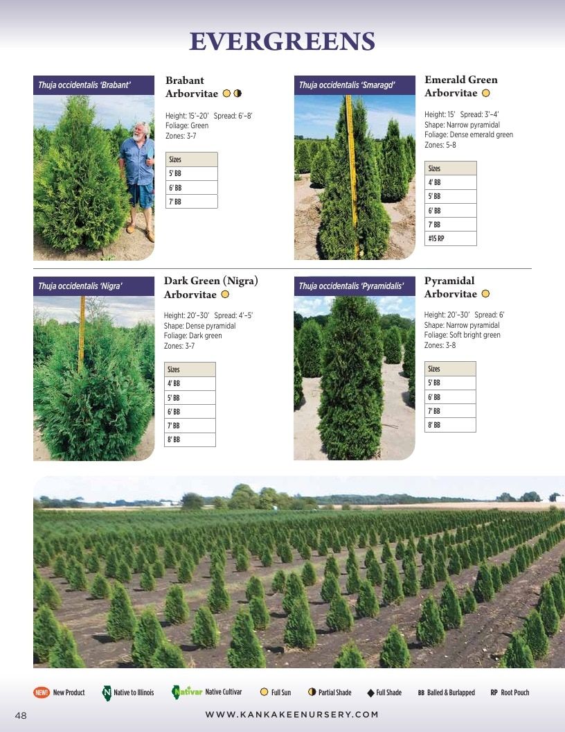 Kankakee Nursery Wholesale Nursery Catalog Weekly Ad January 1 - December 31, 2026