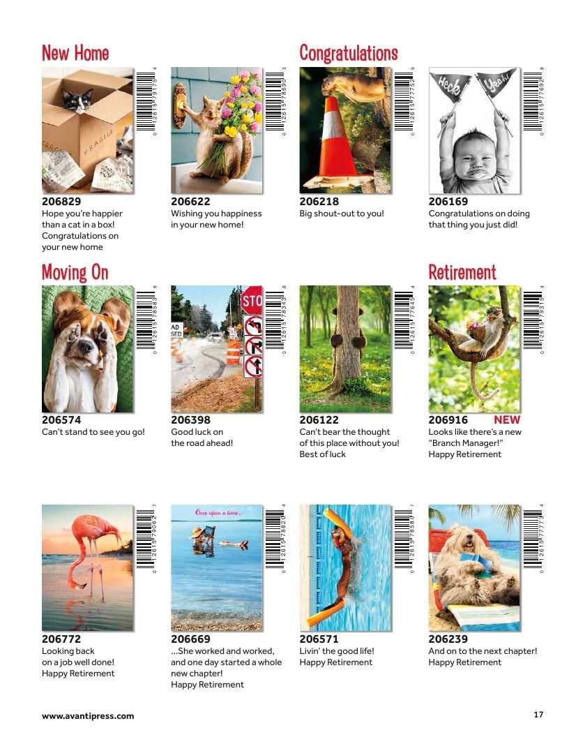 D&S Marketing Group Avanti Brand Catalog Weekly Ad January 1 - December 31, 2026