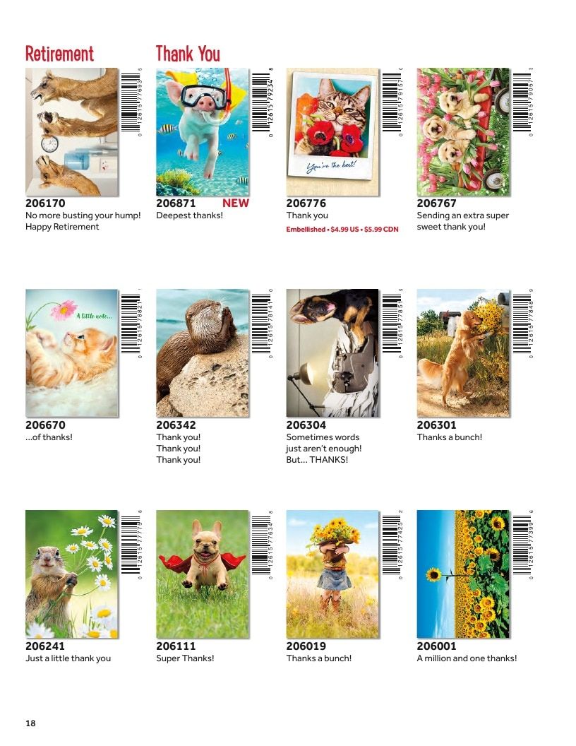D&S Marketing Group Avanti Brand Catalog Weekly Ad January 1 - December 31, 2026
