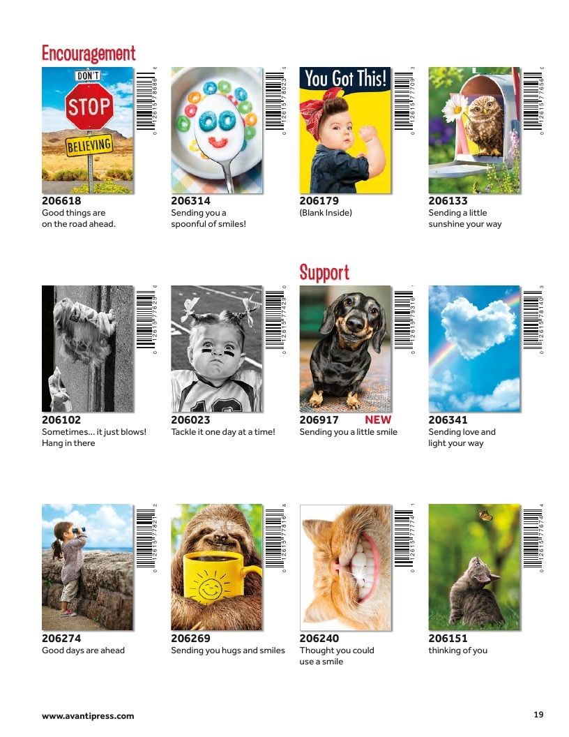 D&S Marketing Group Avanti Brand Catalog Weekly Ad January 1 - December 31, 2026