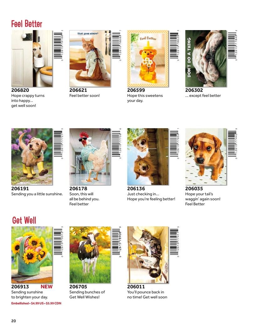 D&S Marketing Group Avanti Brand Catalog Weekly Ad January 1 - December 31, 2026
