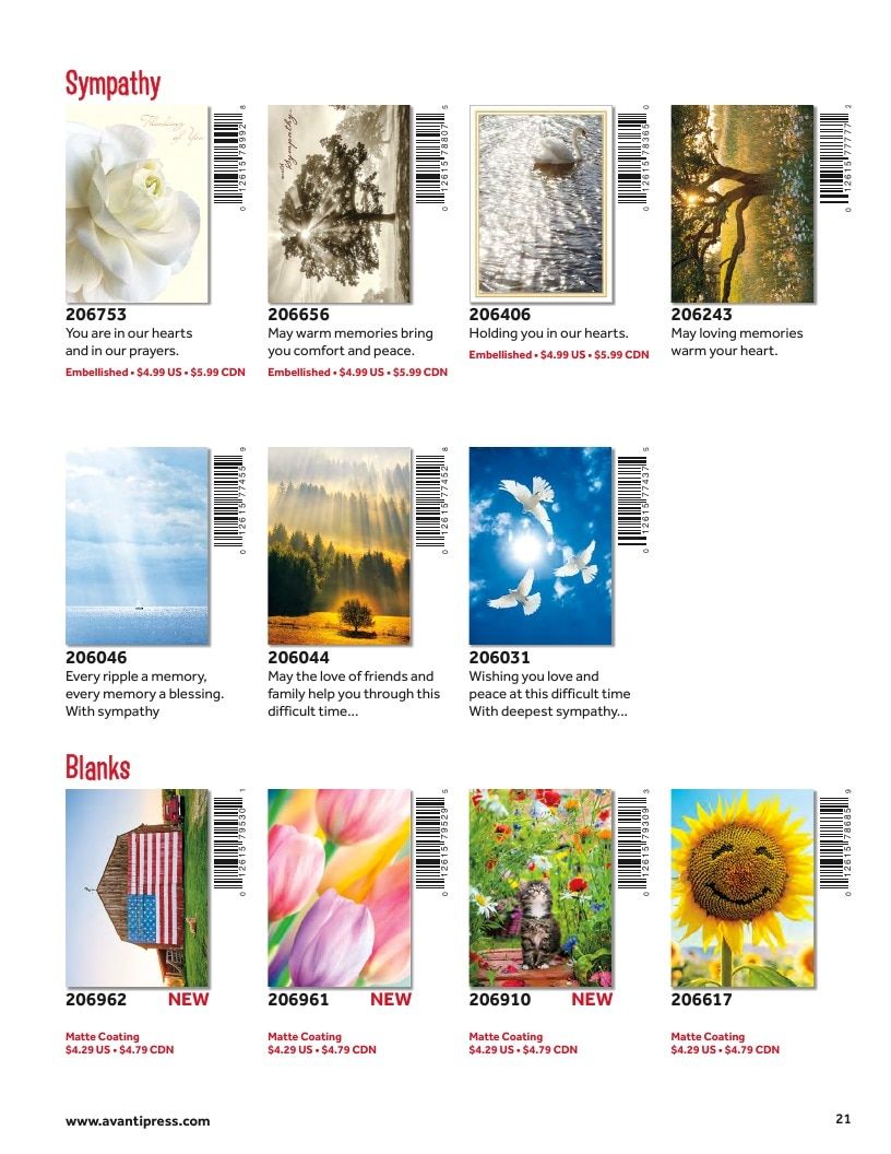 D&S Marketing Group Avanti Brand Catalog Weekly Ad January 1 - December 31, 2026
