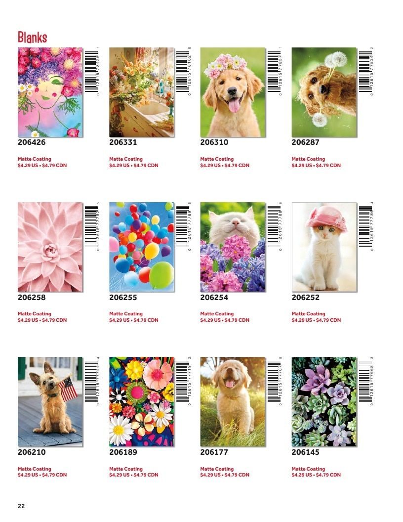 D&S Marketing Group Avanti Brand Catalog Weekly Ad January 1 - December 31, 2026