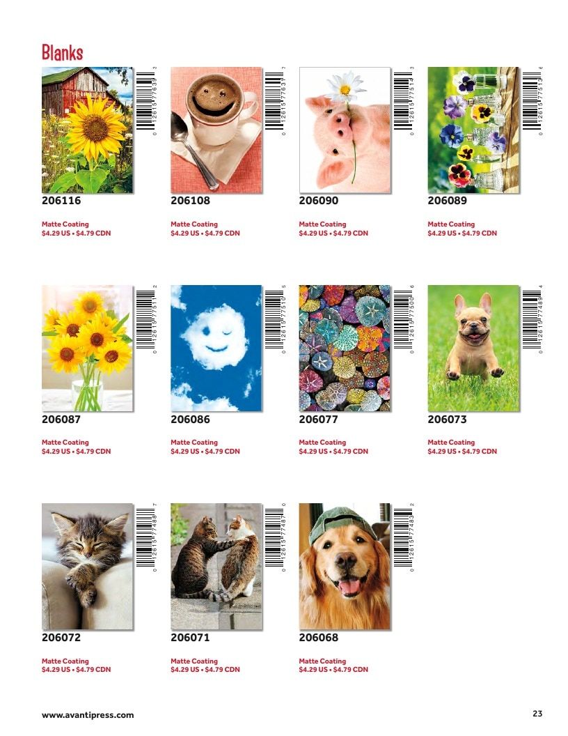 D&S Marketing Group Avanti Brand Catalog Weekly Ad January 1 - December 31, 2026