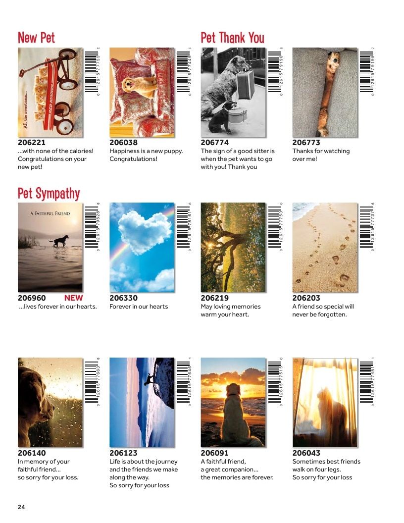 D&S Marketing Group Avanti Brand Catalog Weekly Ad January 1 - December 31, 2026