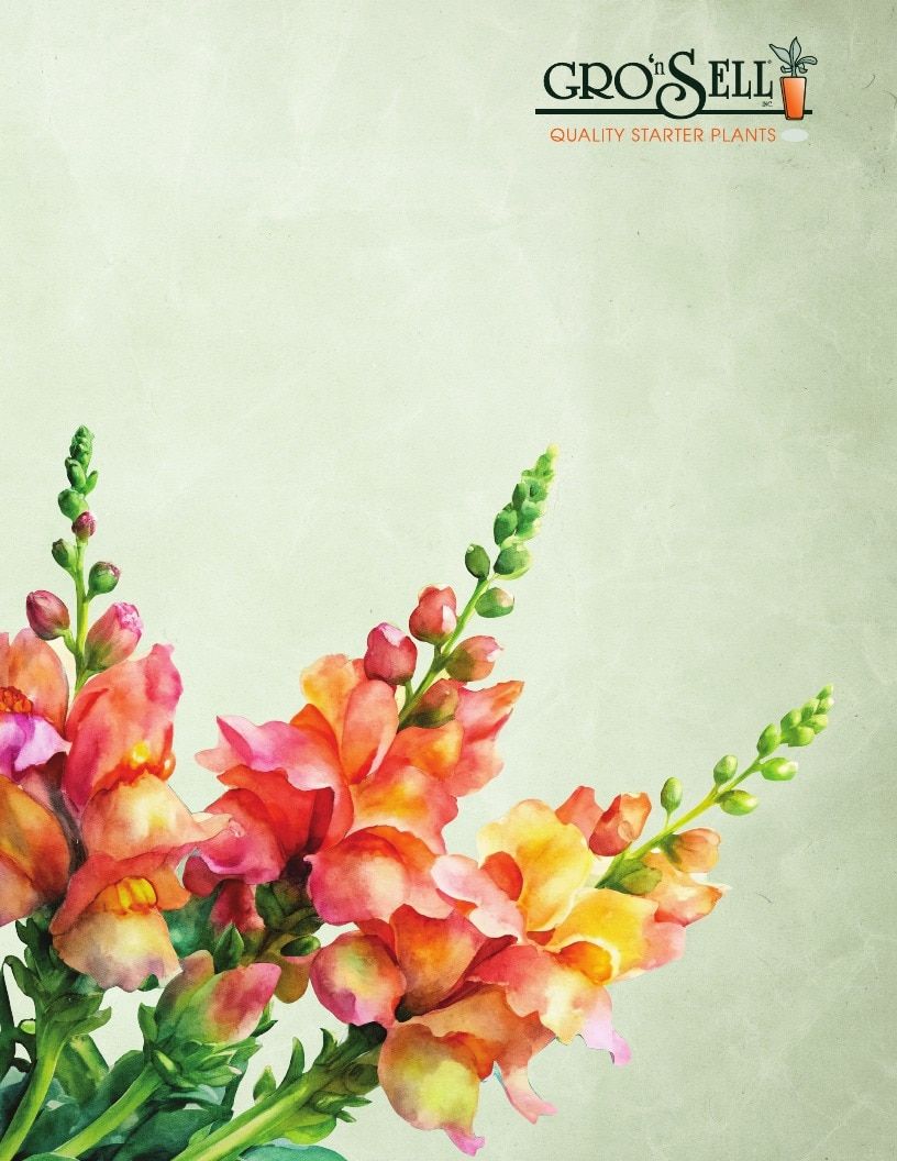 Gro'n Sell Plants Catalog Weekly Ad January 1 - December 31, 2026